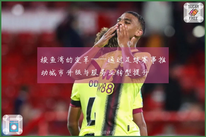 梭鱼湾的变革——通过足球赛事推动城市升级与服务业转型提升